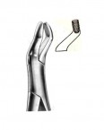 Extraction Forceps American Pattern  02-192-210S price in Pakistan