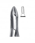 Extraction Forceps American Pattern  02-154-1B