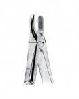 Children Forceps English Pattern  02-438-37 price in Pakistan