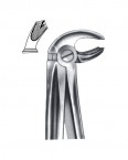 Extraction Forceps English Pattern  02-333-23 price in Pakistan