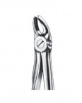 Children Forceps English Pattern  02-441-39A price in Pakistan