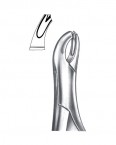 Extraction Forceps American Pattern  02-196-287 price in Pakistan