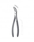 Root Fragment Forceps  02-199-501 price in Pakistan