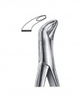 Extraction Forceps American Pattern  02-189-203 price in Pakistan