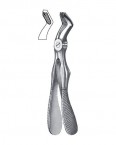 Children Forceps With Spring English Pattern  02-431-3S price in Pakistan