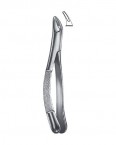 Extraction Forceps American Pattern  02-185-150 price in Pakistan