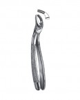 Extraction Forceps English Pattern  02-327-19 price in Pakistan