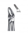 Extraction Forceps English Pattern  02-321-07q price in Pakistan