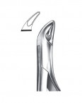 Extraction Forceps American Pattern  02-197-288 price in Pakistan