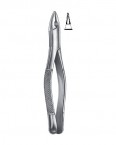 Extraction Forceps American Pattern  02-153-01