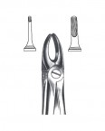 Extraction Forceps English Pattern  02-319-03 price in Pakistan