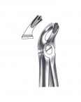 Extraction Forceps English Pattern  02-328-20 price in Pakistan