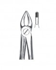 Children Forceps English Pattern  02-458-163 price in Pakistan