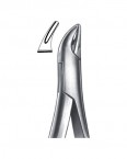 Extraction Forceps American Pattern  02-183-101 price in Pakistan