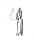 Extraction Forceps American Pattern  02-175-67 price in Pakistan