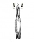 Extraction Forceps American Pattern  02-198-301 price in Pakistan