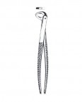 Children Forceps English Pattern  02-450-123 price in Pakistan