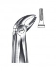 Extraction Forceps English Pattern  02-320-04 price in Pakistan