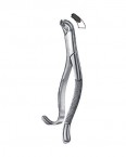 Dental Extracting Forceps 02-253-18RS price in Pakistan