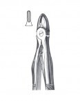 Children Forceps With Spring English Pattern  02-436-137S price in Pakistan