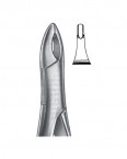 Extraction Forceps American Pattern  02-193-213 price in Pakistan