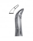 Extraction Forceps American Pattern  02-188-151A price in Pakistan