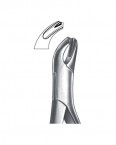 Extraction Forceps American Pattern  02-159-15