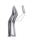 Extraction Forceps American Pattern  02-195-286 price in Pakistan