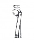 Children Forceps English Pattern  02-455-160 price in Pakistan