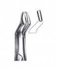 Extraction Forceps American Pattern  02-157-10H