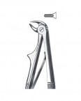 Children Forceps With Spring English Pattern  02-434-7S price in Pakistan