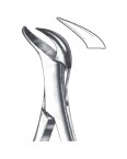 Dental Extracting Forceps 02-264-23-SK price in Pakistan