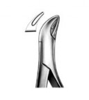 Extraction Forceps American Pattern  02-184-103 price in Pakistan