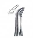 Extraction Forceps American Pattern  02-187-151 price in Pakistan