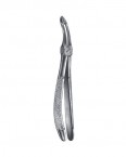 Dental Extracting Forceps 02-103-12 price in Pakistan