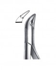 Extraction Forceps American Pattern  02-178-85A price in Pakistan