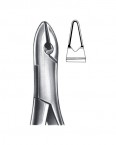 Extraction Forceps American Pattern  02-181-99A price in Pakistan