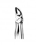 Children Forceps English Pattern  02-439-39S price in Pakistan