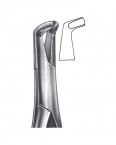 Extraction Forceps American Pattern  02-194-222 price in Pakistan