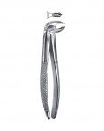 Extraction Forceps English Pattern  02-332-22G price in Pakistan