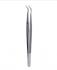 Dental Tweezer Type 2 price in Pakistan