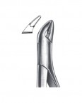 Extraction Forceps American Pattern  02-177-85 price in Pakistan