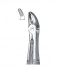 Children Forceps With Spring English Pattern  02-437-139S price in Pakistan