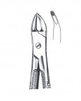 Children Forceps English Pattern  02-454-159 price in Pakistan