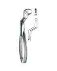 Wisdoms Extraction Forceps  02-201- 22R price in Pakistan