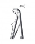 Children Forceps With Spring English Pattern  02-433-6S price in Pakistan