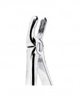 Children Forceps English Pattern  02-442-39L price in Pakistan