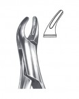 Dental Extracting Forceps 02-266-151 SK price in Pakistan