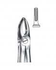 Extraction Forceps English Pattern  02-318-02 price in Pakistan