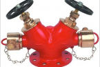 FIRE HYDRANTS & VALVES 